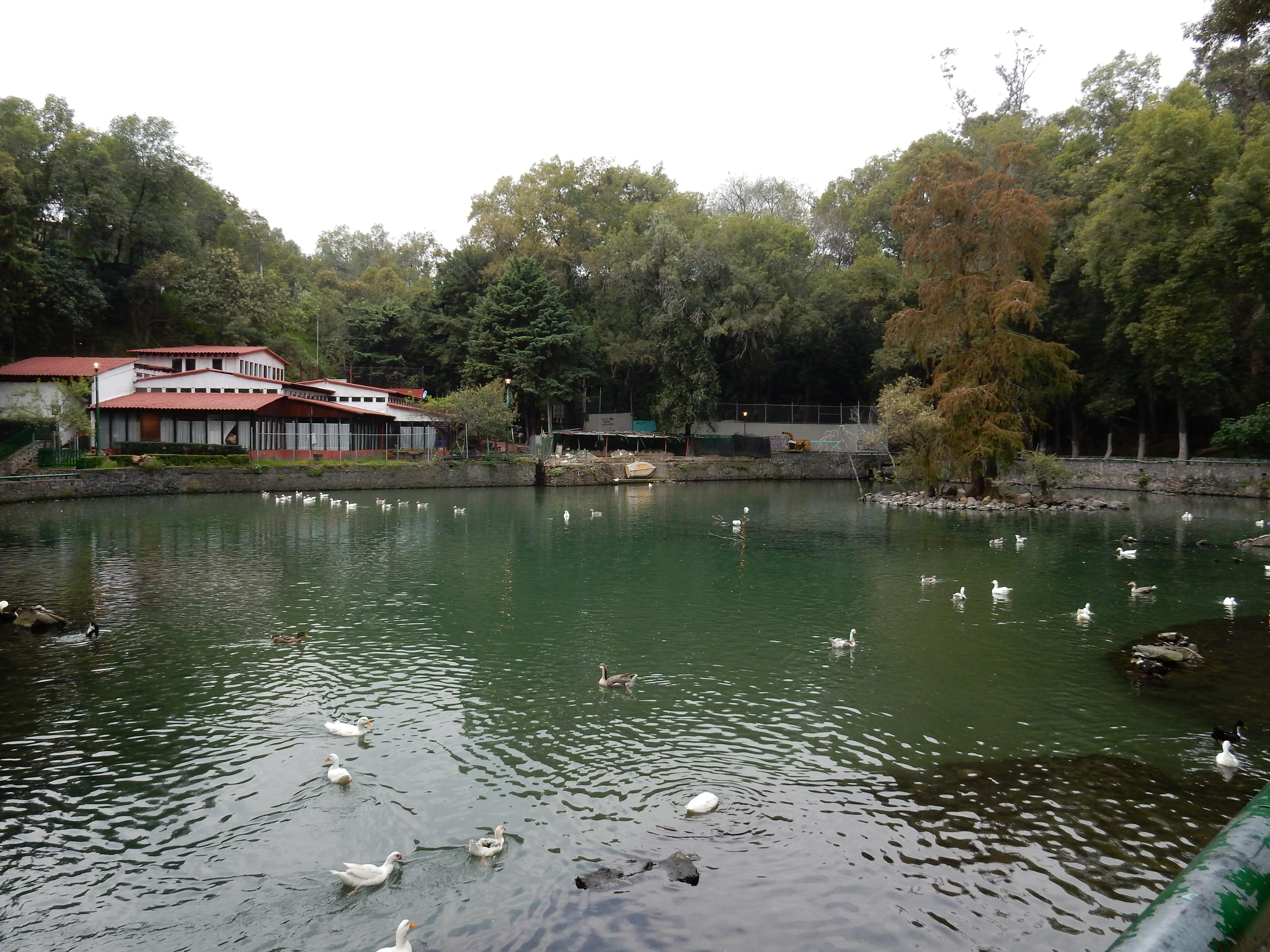 Senderismo en el Parque nacional Fuentes Brotantes de Tlalpan